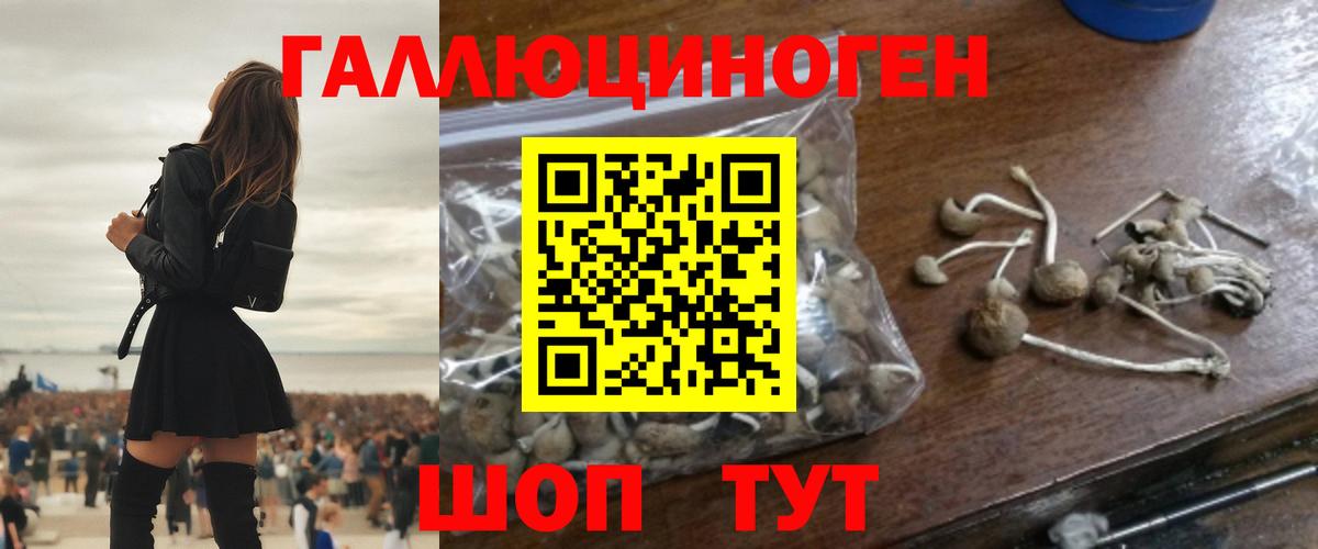 Галлюциногенные грибы Magic Shrooms  Вход с VPN  Галлюциногенные грибы Psilocybine cubensis  Новозыбков 