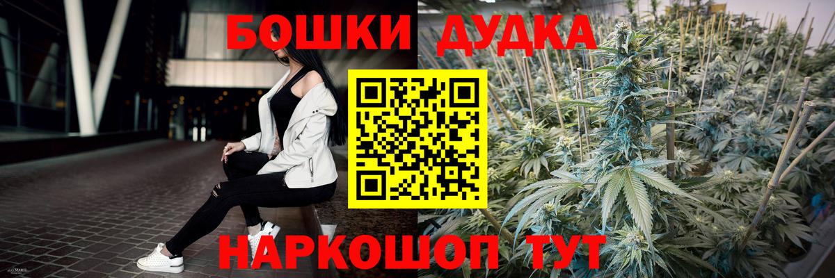 Конопля MAZAR  Каннабис план  Новозыбков  Вход с VPN 